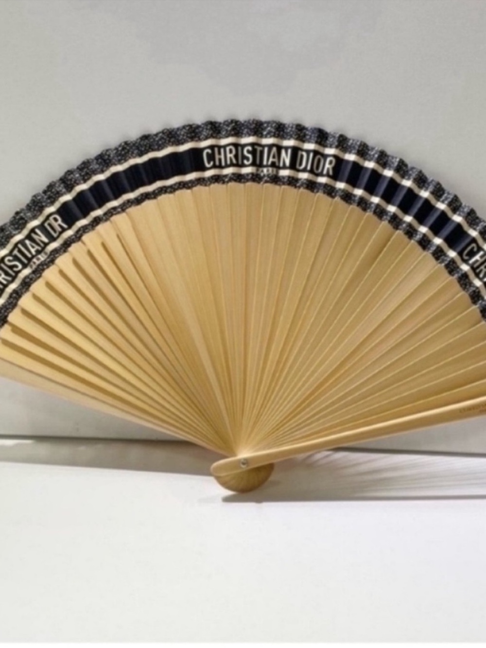 Dior beauty holding fan
